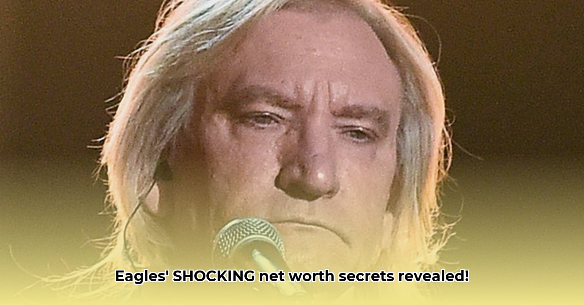 joe-walsh-net-worth-eagles